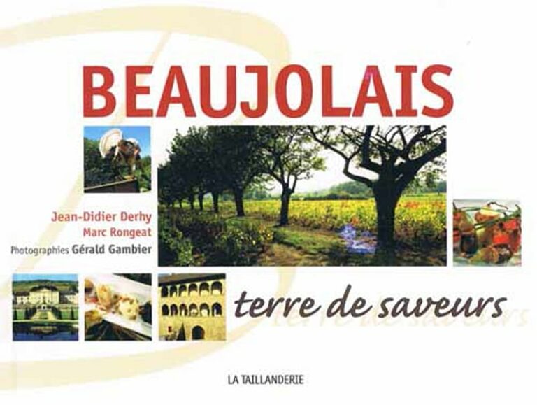 Beaujolais terre de saveurs par Jean-Didier Derhi et Marc Rong - FR